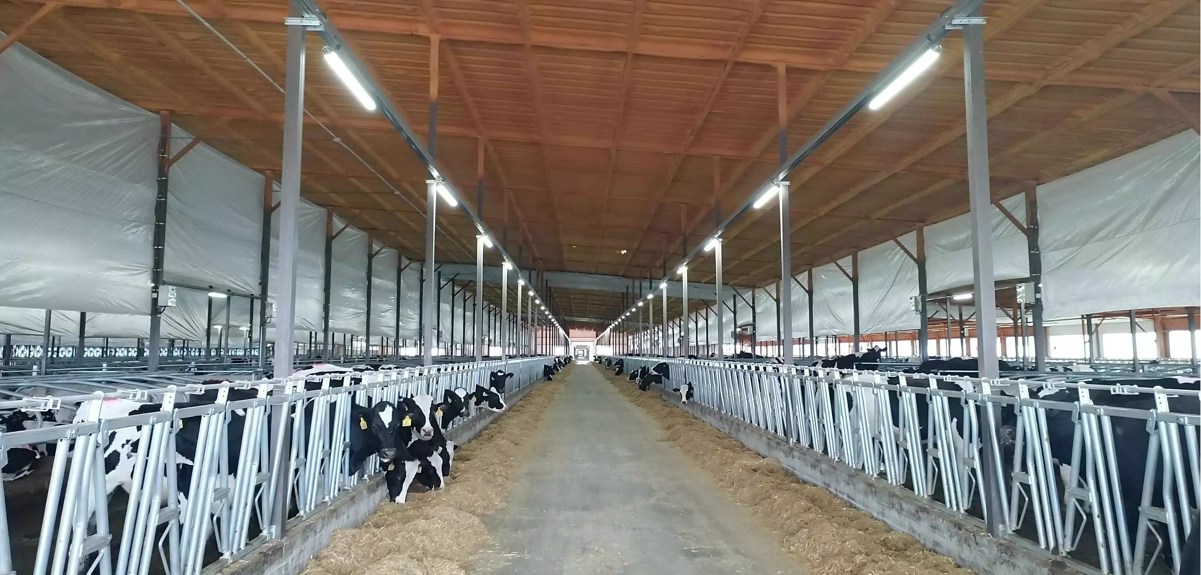 Agricultural Lighting Solution